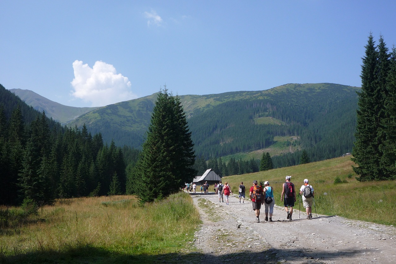 Serce Tatra otwarte dla każdego – Dolina Chochołowska