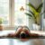 Chaturanga Dandasana – jak wykonać tę asanę i jej korzyści?