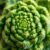 Romanesco – prozdrowotne właściwości i wartości odżywcze tego warzywa